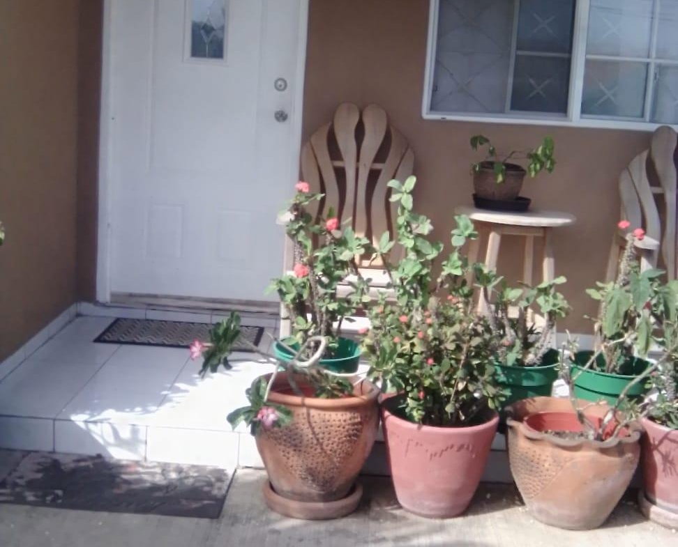 Sixth image of 47 Port of Spain Place Carib in Caribbean Estates, St. Catherine, Jamaica - property is For Sale