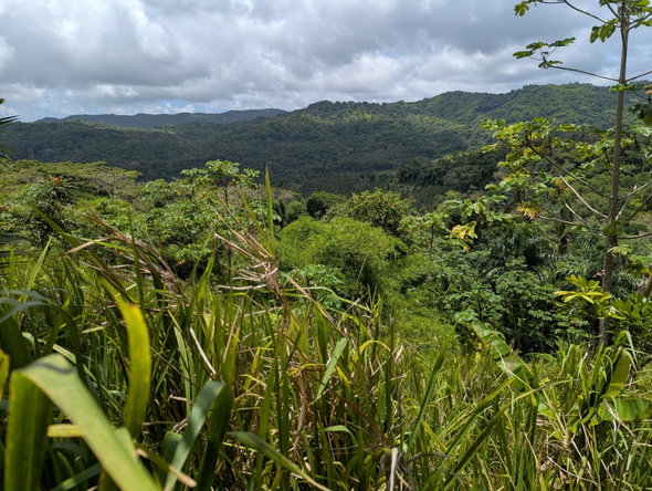 Second image of Coxpiece Pembroke Hall in Pembroke Hall, St. Mary, Jamaica - property is For Sale