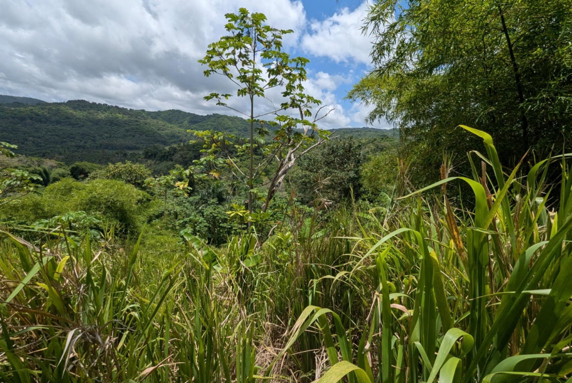 Third image of Coxpiece Pembroke Hall in Pembroke Hall, St. Mary, Jamaica - property is For Sale