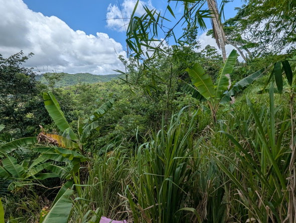 Fifth image of Coxpiece Pembroke Hall in Pembroke Hall, St. Mary, Jamaica - property is For Sale