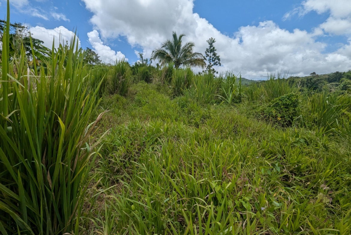 Ninth image of Coxpiece Pembroke Hall in Pembroke Hall, St. Mary, Jamaica - property is For Sale