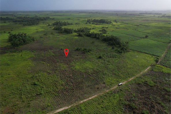 Third image of 105 Barham in Friendship, Westmoreland, Jamaica - property is For Sale