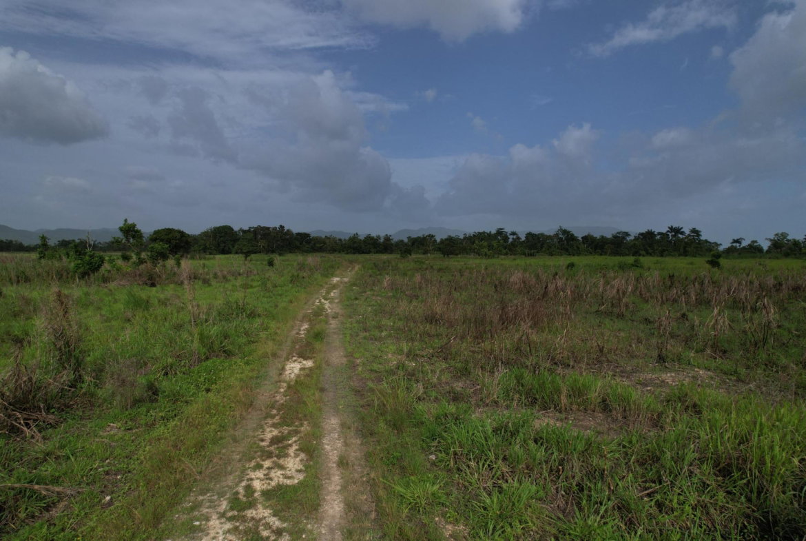 Fifth image of 105 Barham in Friendship, Westmoreland, Jamaica - property is For Sale