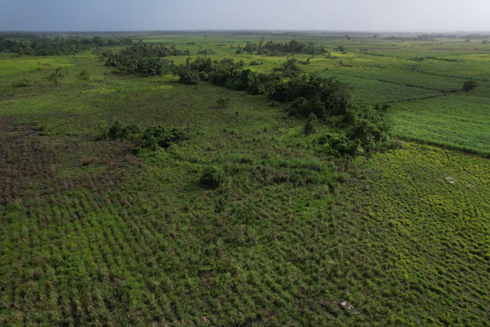 Sixth image of 105 Barham in Friendship, Westmoreland, Jamaica - property is For Sale