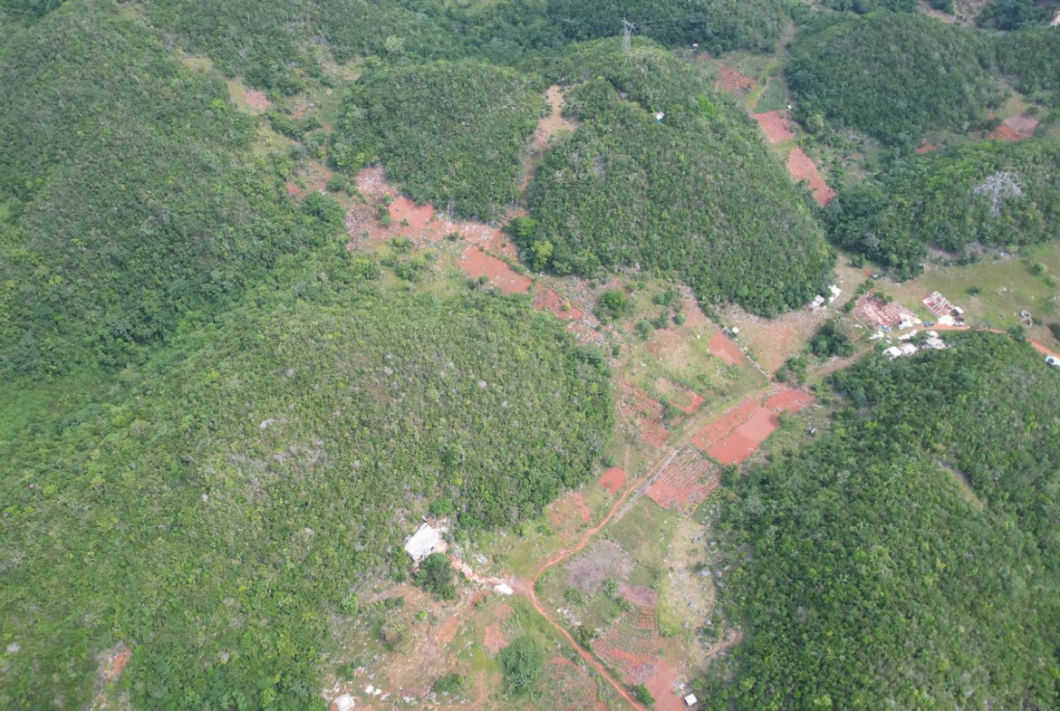 Eleventh image of Green Vale, Manchester in Green Vale, Manchester, Jamaica - property is For Sale