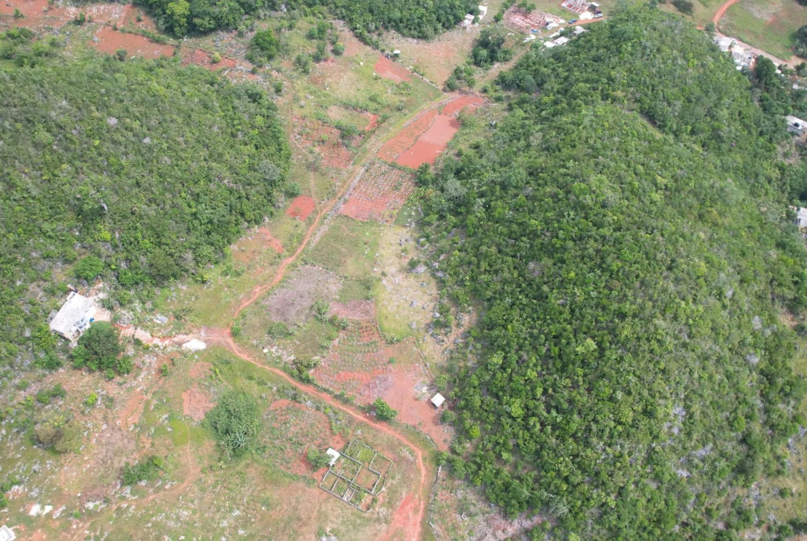 Thirteenth image of Green Vale, Manchester in Green Vale, Manchester, Jamaica - property is For Sale