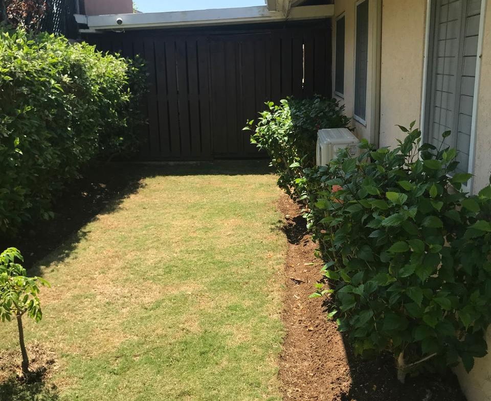 Second image of The Crest, Richmond Estat in Richmond, St. Ann, Jamaica - property is For Rent