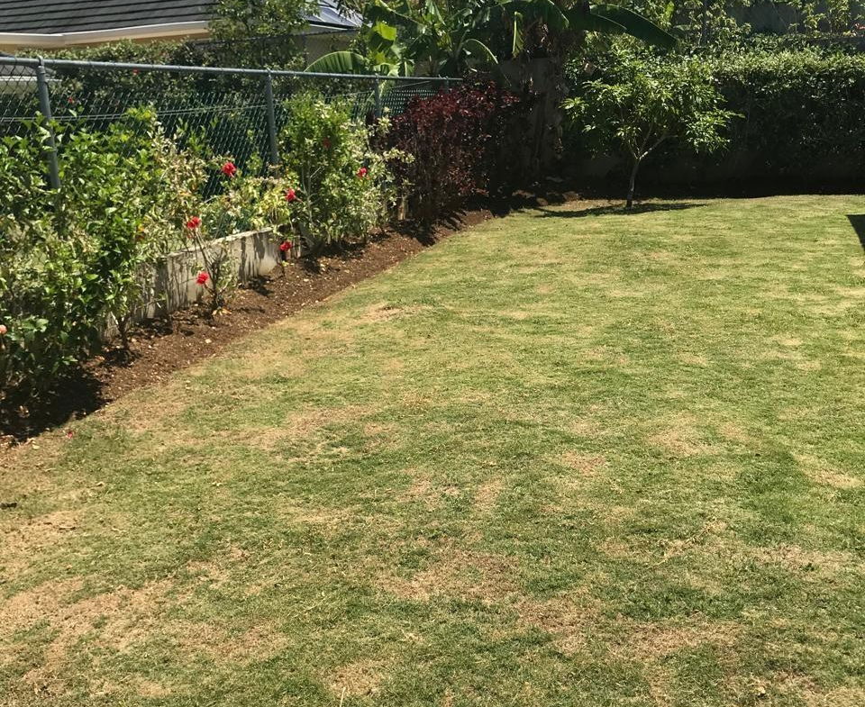 Fifth image of The Crest, Richmond Estat in Richmond, St. Ann, Jamaica - property is For Rent