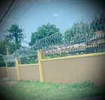 First image of 7 Hillview Terrace, Kingsto in Kingston 19, St. Andrew, Jamaica - property is For Rent