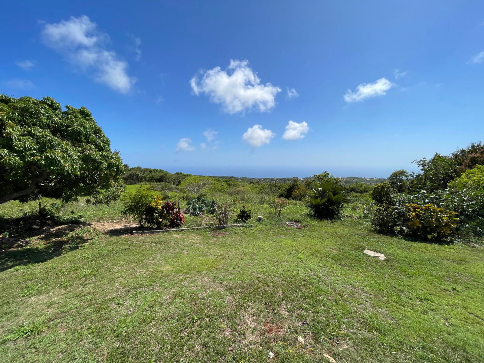 Second image of Bellevue, Southfield in Southfield, St. Elizabeth, Jamaica - property is For Sale