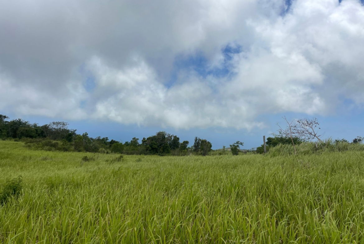 Fourth image of Bellevue, Southfield in Southfield, St. Elizabeth, Jamaica - property is For Sale