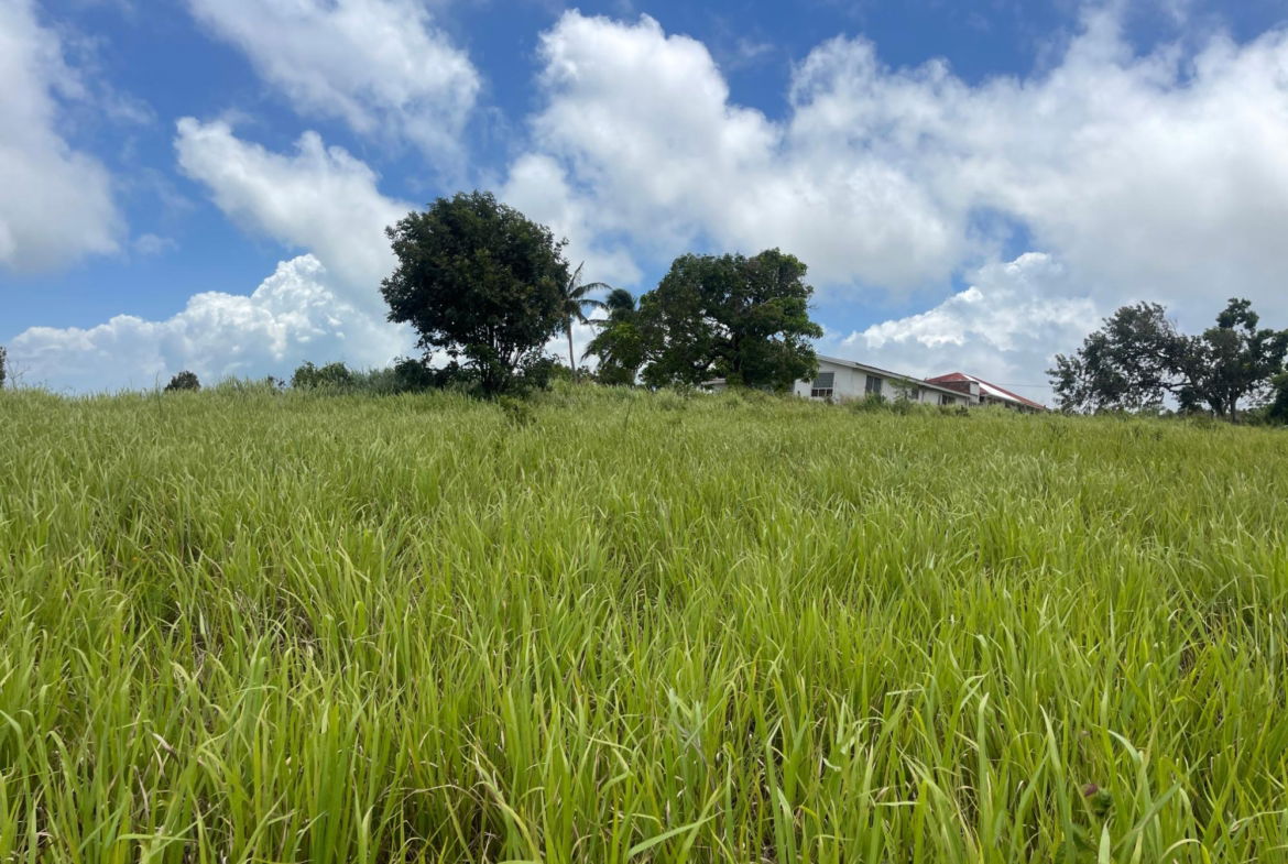 Fifth image of Bellevue, Southfield in Southfield, St. Elizabeth, Jamaica - property is For Sale
