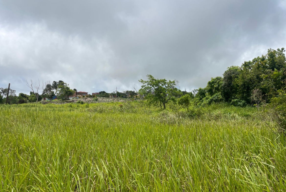 Sixth image of Bellevue, Southfield in Southfield, St. Elizabeth, Jamaica - property is For Sale
