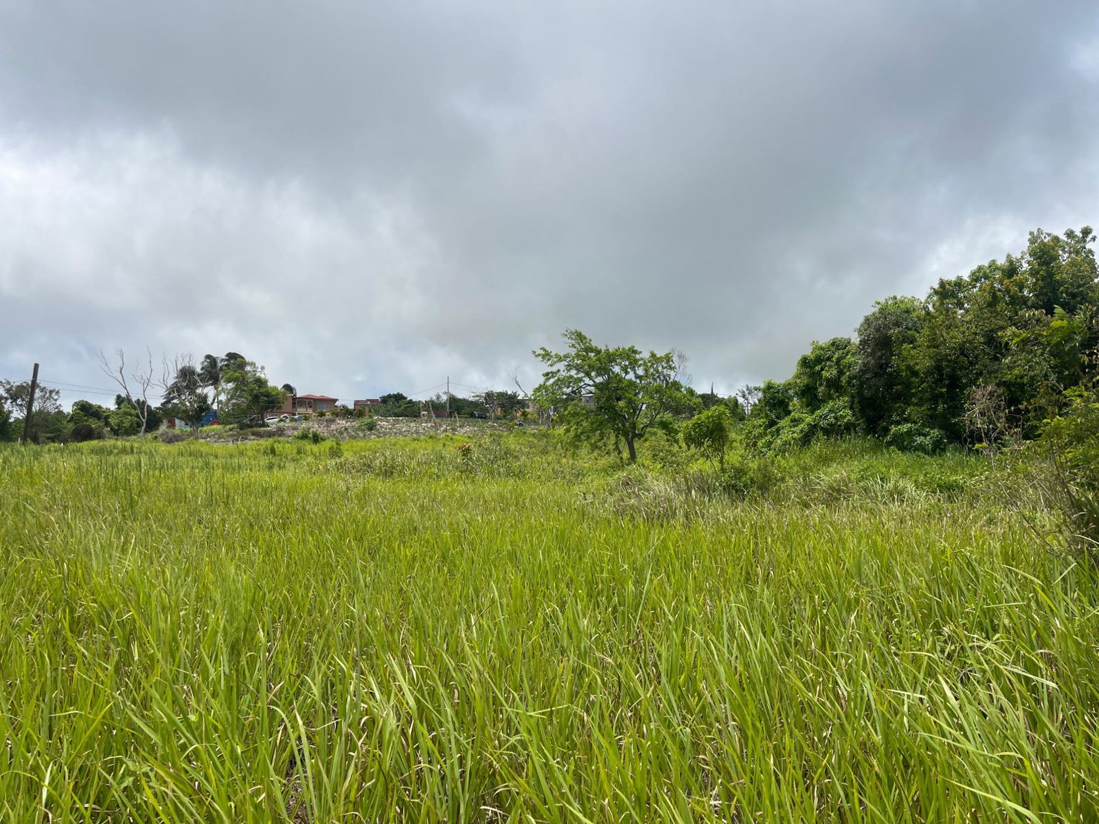 Sixth image of Bellevue, Southfield in Southfield, St. Elizabeth, Jamaica - property is For Sale