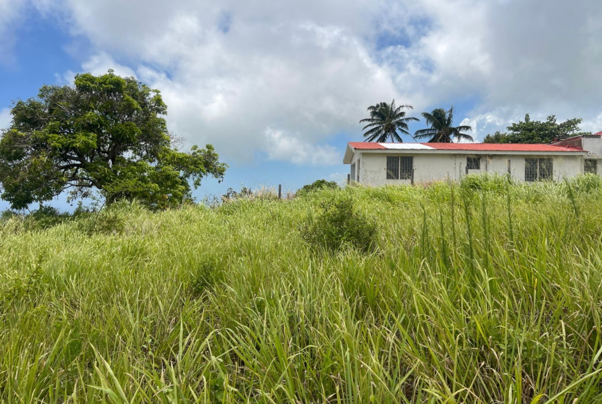 Seventh image of Bellevue, Southfield in Southfield, St. Elizabeth, Jamaica - property is For Sale