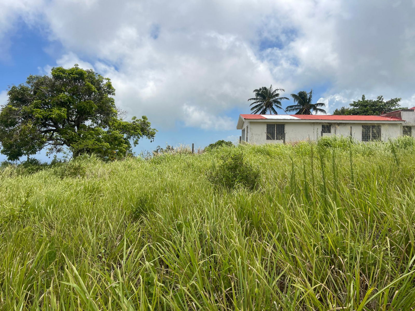 Seventh image of Bellevue, Southfield in Southfield, St. Elizabeth, Jamaica - property is For Sale