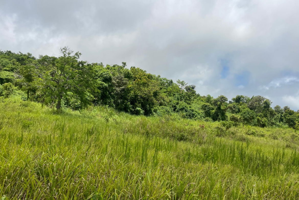 Eighth image of Bellevue, Southfield in Southfield, St. Elizabeth, Jamaica - property is For Sale