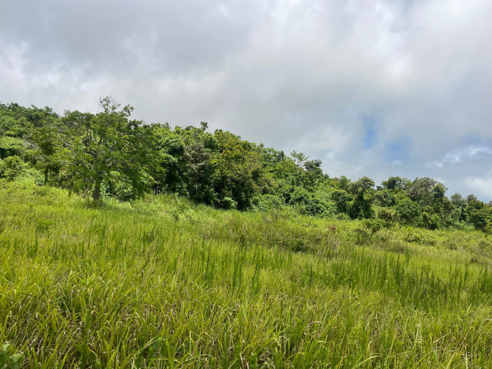 Eighth image of Bellevue, Southfield in Southfield, St. Elizabeth, Jamaica - property is For Sale