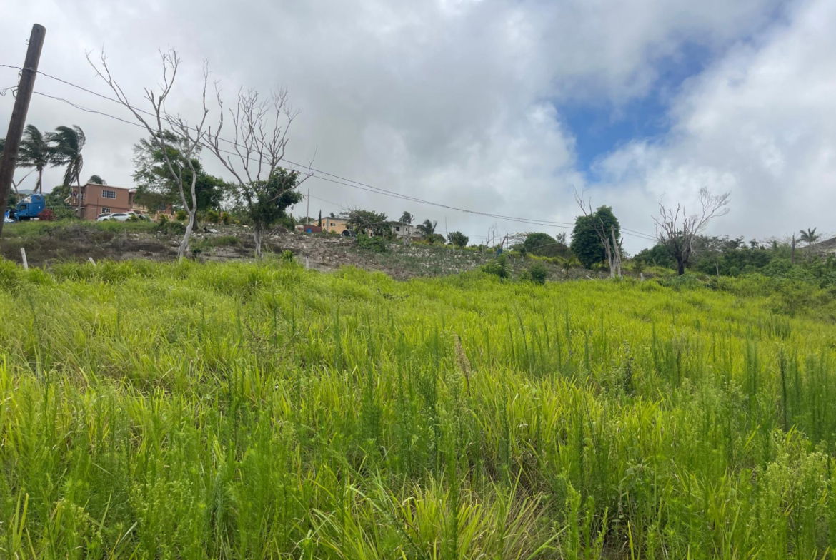 Ninth image of Bellevue, Southfield in Southfield, St. Elizabeth, Jamaica - property is For Sale