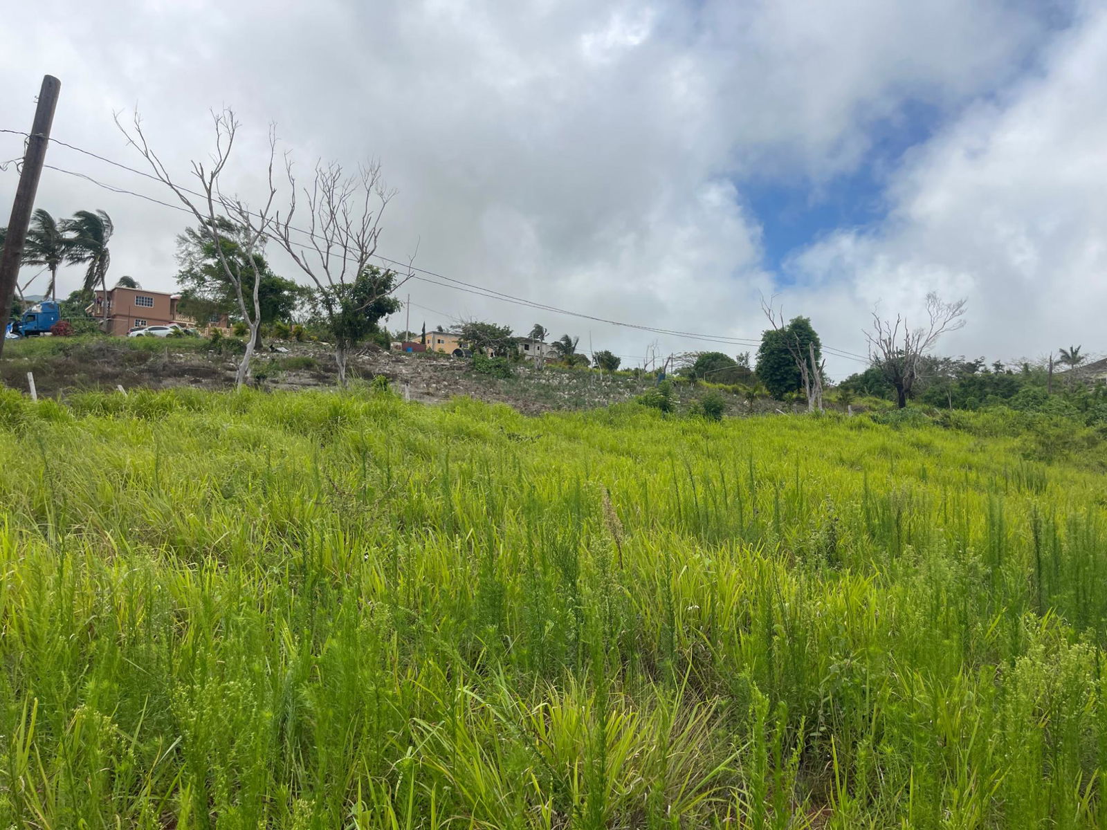 Ninth image of Bellevue, Southfield in Southfield, St. Elizabeth, Jamaica - property is For Sale