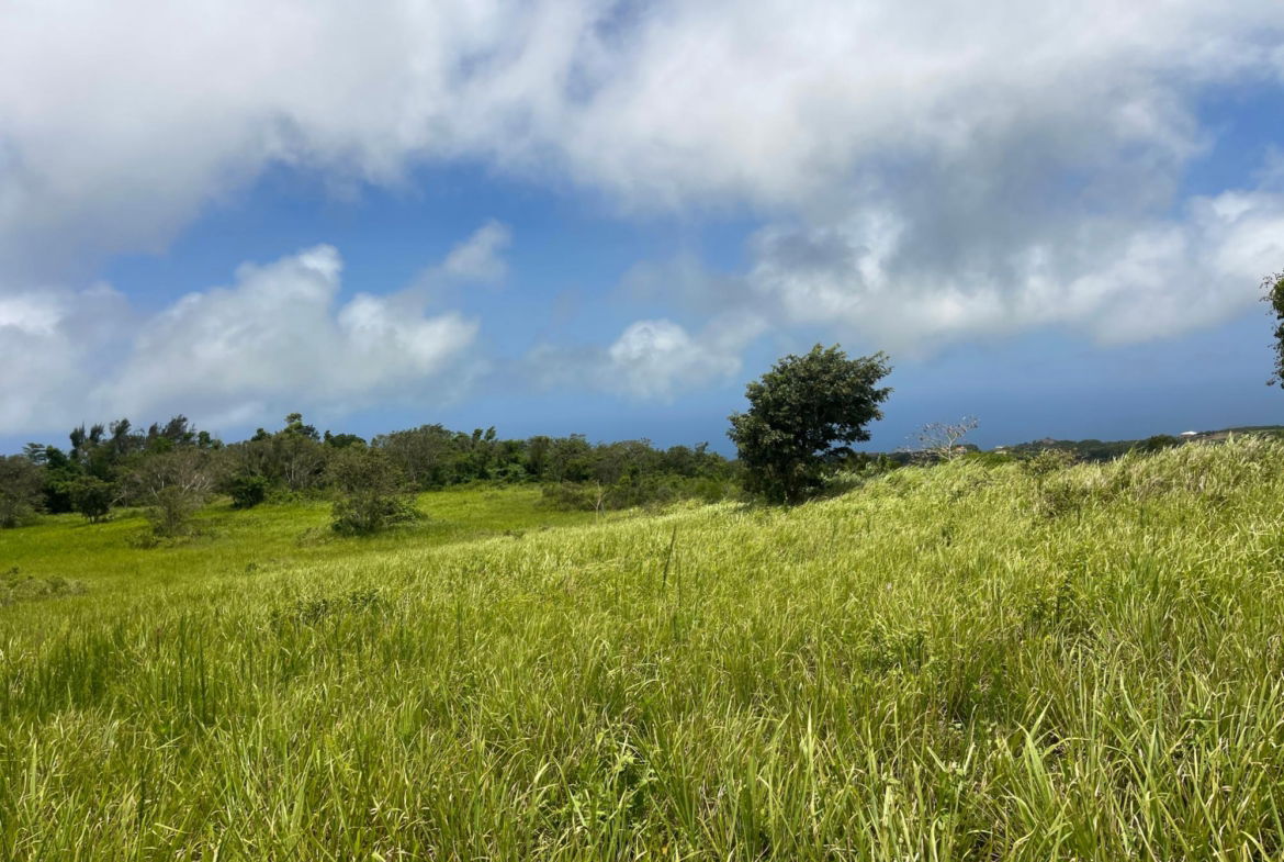 Tenth image of Bellevue, Southfield in Southfield, St. Elizabeth, Jamaica - property is For Sale