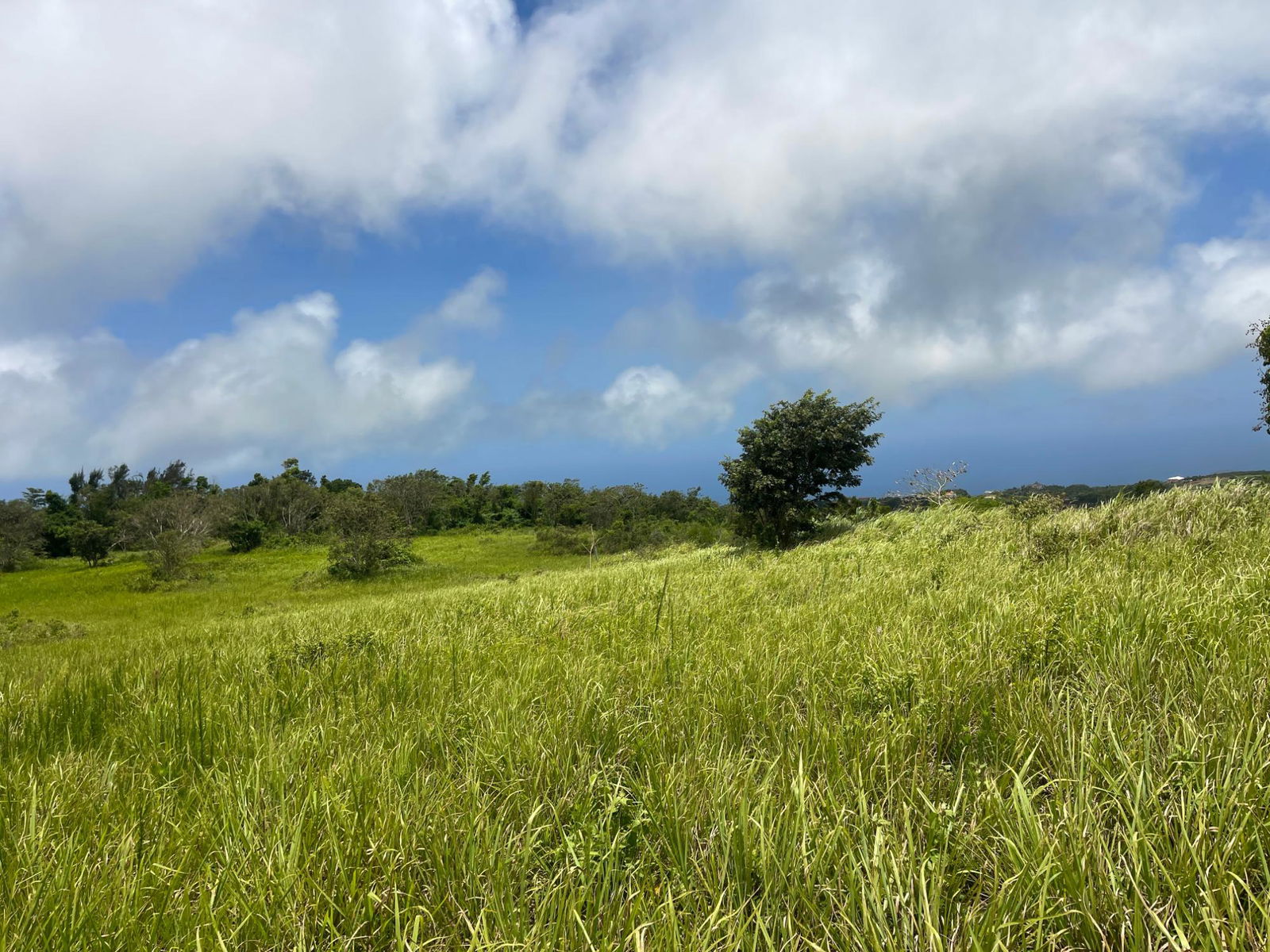 Tenth image of Bellevue, Southfield in Southfield, St. Elizabeth, Jamaica - property is For Sale