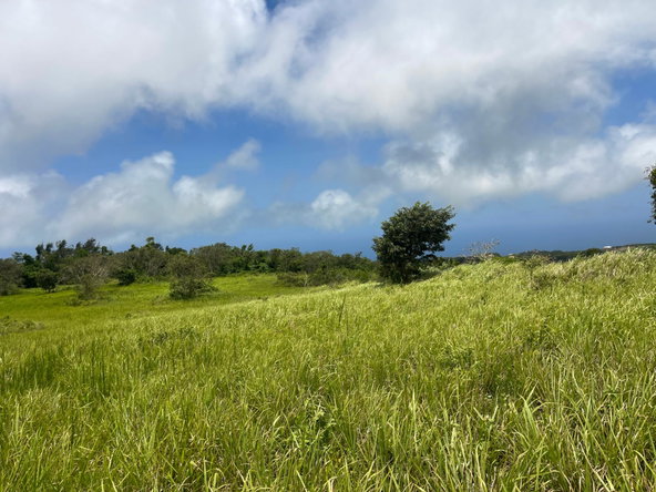 Tenth image of Bellevue, Southfield in Southfield, St. Elizabeth, Jamaica - property is For Sale