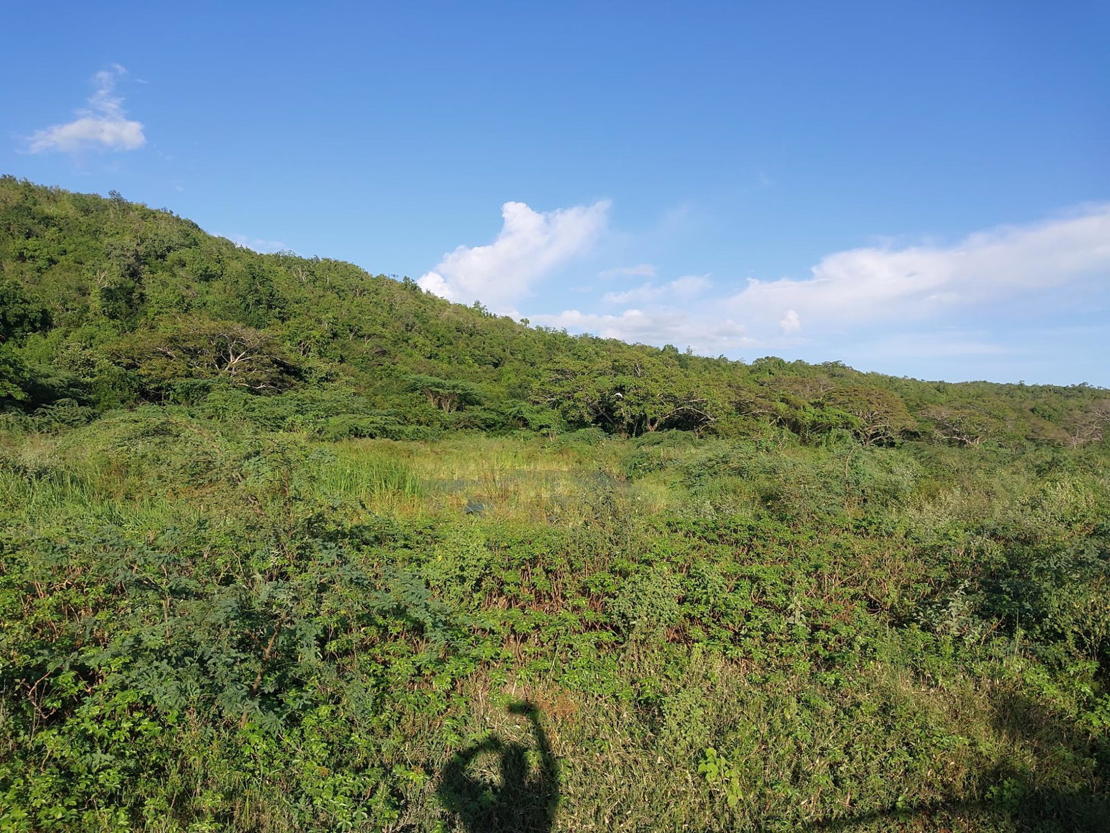 Second image of Lot 353 Hill Run in Hill Run, St. Catherine, Jamaica - property is For Sale
