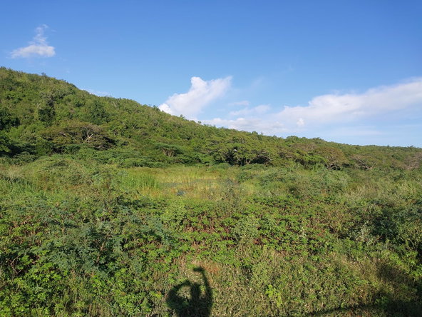 Second image of Lot 353 Hill Run in Hill Run, St. Catherine, Jamaica - property is For Sale