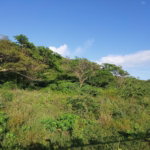 First image of Lot 353 Hill Run in Hill Run, St. Catherine, Jamaica - property is For Sale