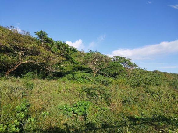 First image of Lot 353 Hill Run in Hill Run, St. Catherine, Jamaica - property is For Sale