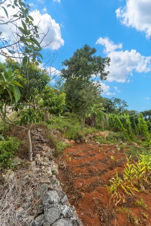 Nineteenth image of Mollison, Christaina in Mollison, Manchester, Jamaica - property is For Sale