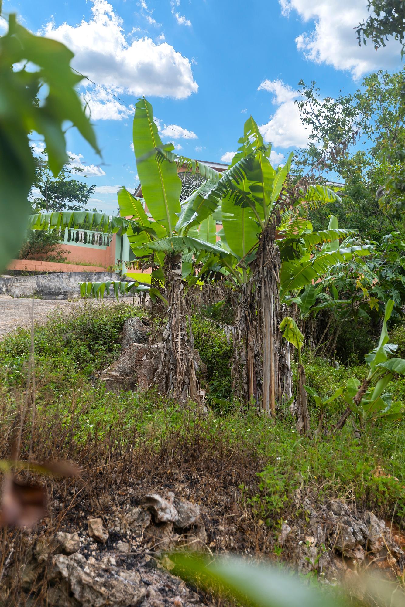 4-Bedroom-Countryside-Home-for-Sale-in-Mollison-Christiana-Manchester-Jamaica Twentieth image of Mollison, Christaina in Mollison, Manchester, Jamaica - property is For Sale