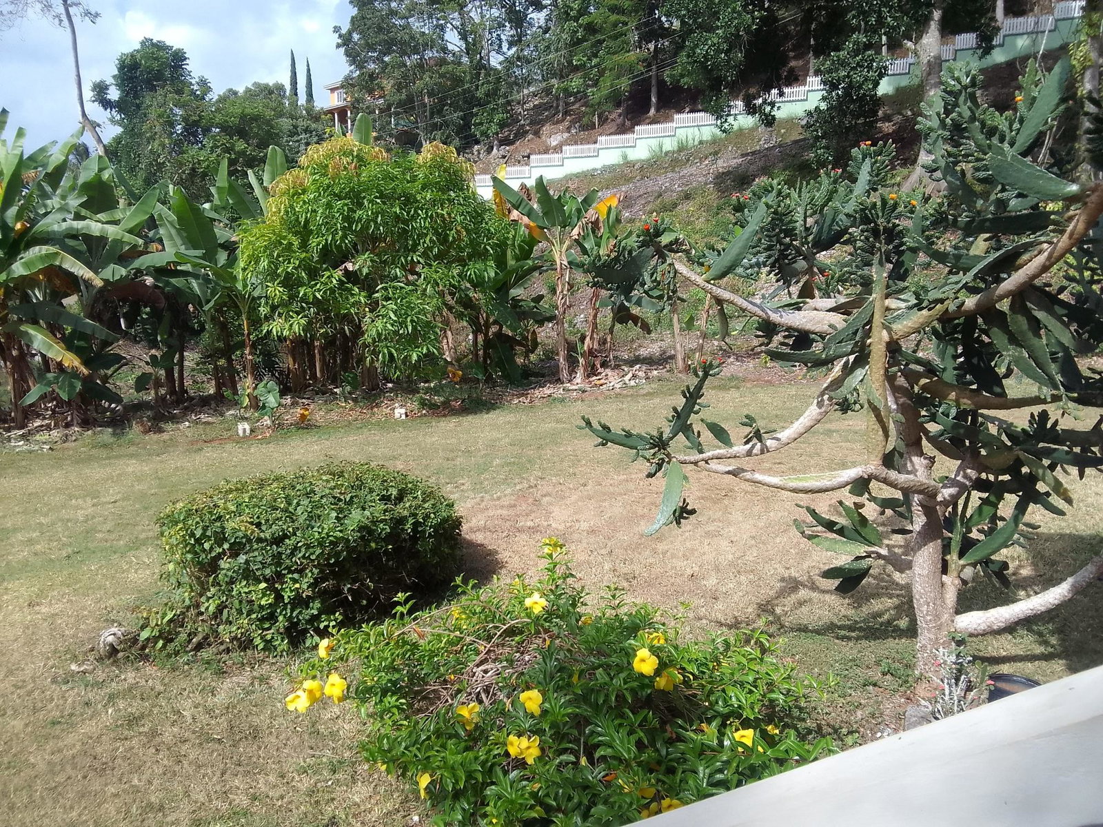 4-Bedroom-House-for-Rent-in-Mandeville-Manchester-Jamaica-13-The-Villa Fourteenth image of 13 The Villa, Mandeville in Mandeville, Manchester, Jamaica - property is For Rent