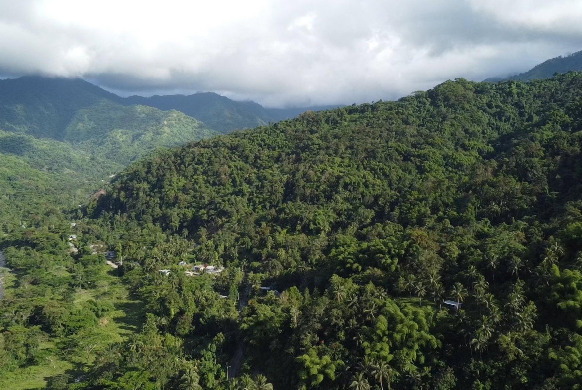 Second image of Swift River, Portland in Hope Bay, Portland, Jamaica - property is For Sale