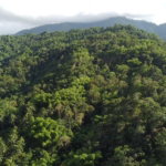 First image of Swift River, Portland in Hope Bay, Portland, Jamaica - property is For Sale