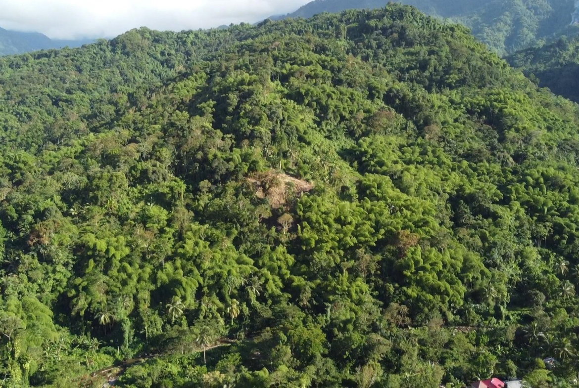 Third image of Swift River, Portland in Hope Bay, Portland, Jamaica - property is For Sale