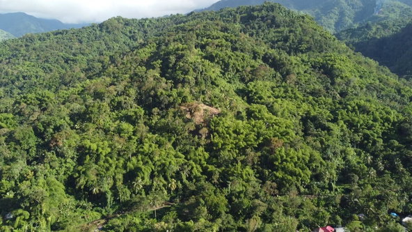 Third image of Swift River, Portland in Hope Bay, Portland, Jamaica - property is For Sale
