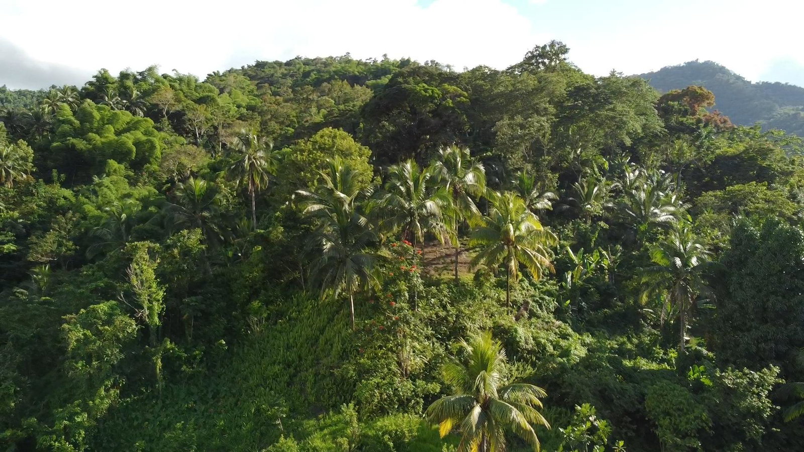 Fourth image of Swift River, Portland in Hope Bay, Portland, Jamaica - property is For Sale