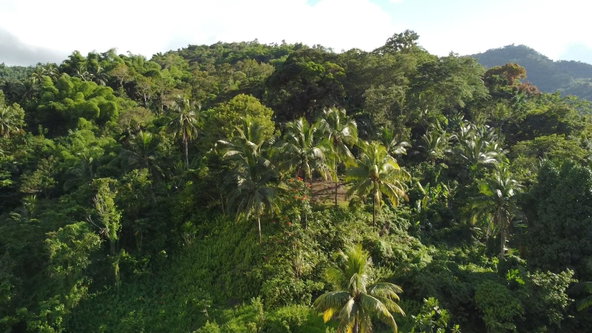 Fourth image of Swift River, Portland in Hope Bay, Portland, Jamaica - property is For Sale