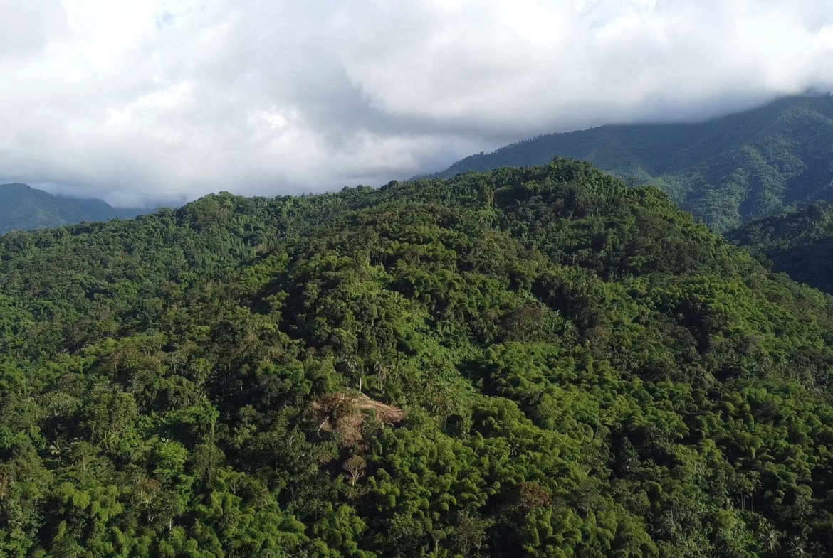 Fifth image of Swift River, Portland in Hope Bay, Portland, Jamaica - property is For Sale