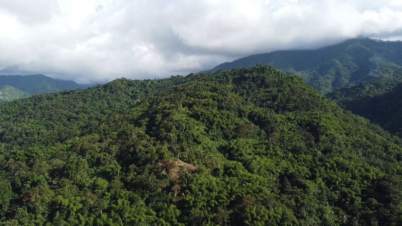 Fifth image of Swift River, Portland in Hope Bay, Portland, Jamaica - property is For Sale