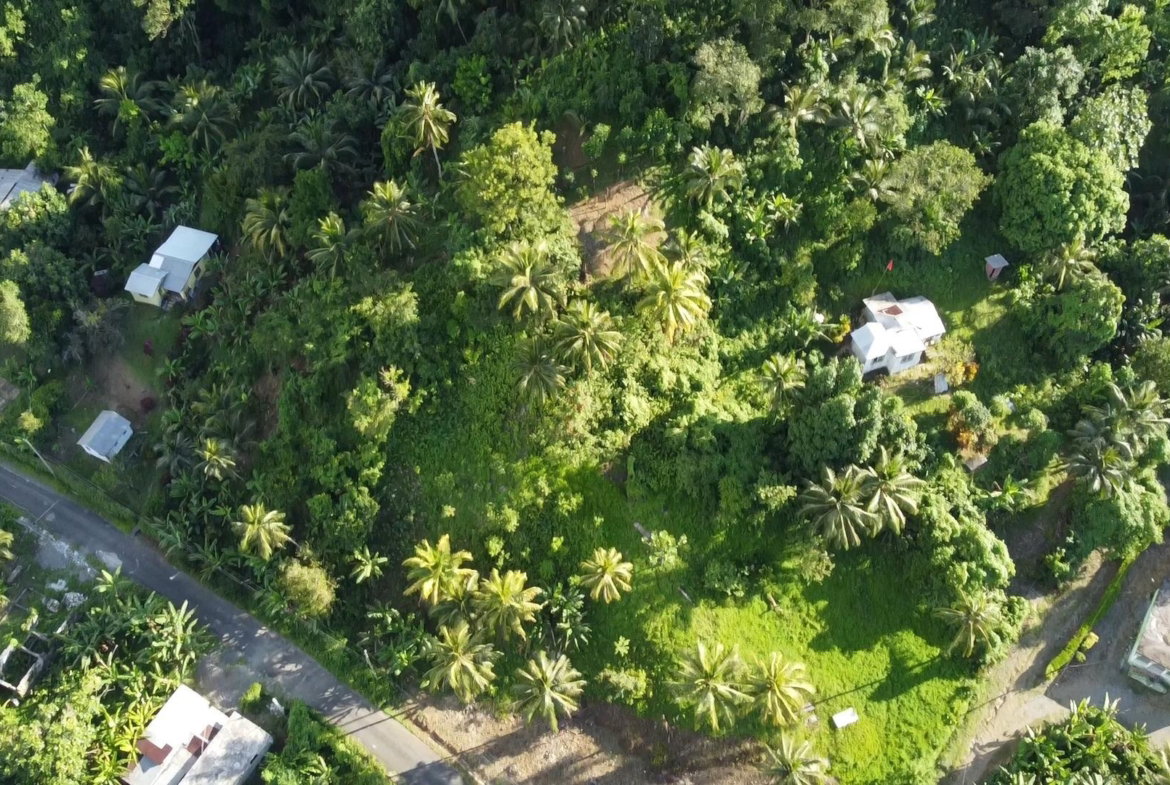 Sixth image of Swift River, Portland in Hope Bay, Portland, Jamaica - property is For Sale