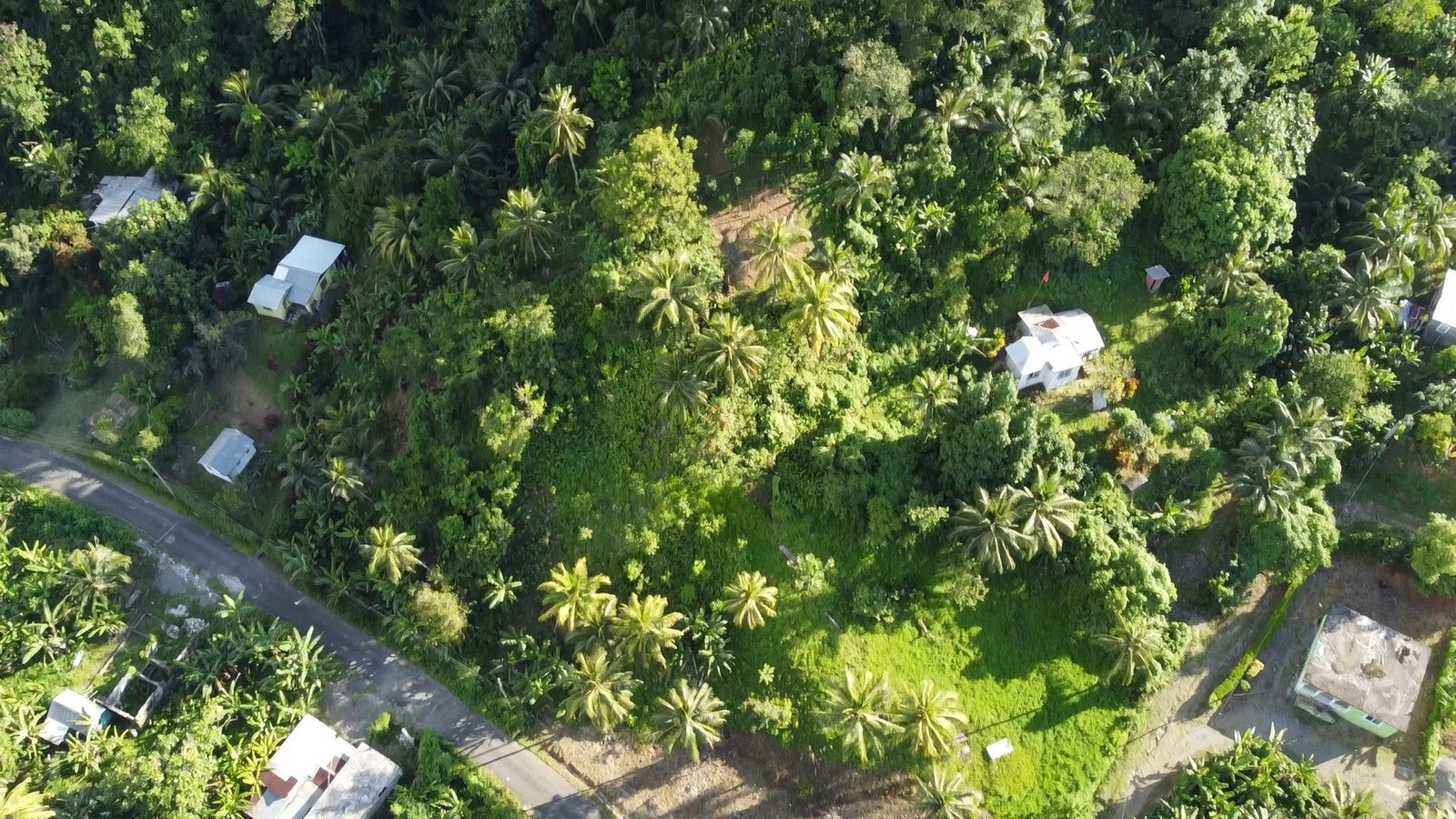 Sixth image of Swift River, Portland in Hope Bay, Portland, Jamaica - property is For Sale