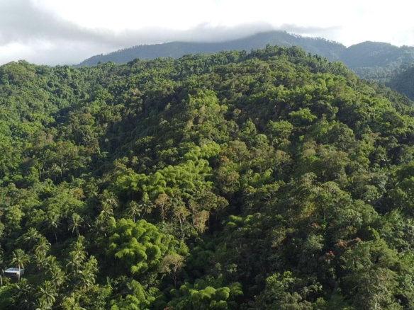 First image of Swift River, Portland in Hope Bay, Portland, Jamaica - property is For Sale