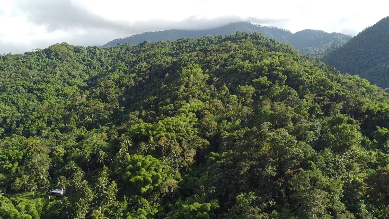 First image of Swift River, Portland in Hope Bay, Portland, Jamaica - property is For Sale