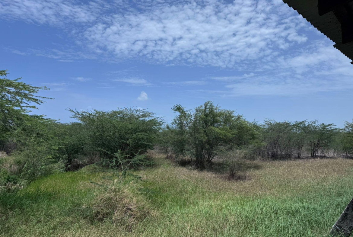 Fourth image of Lot 92 Hartlands, St. Catherine in Hartlands, St. Catherine, Jamaica - property is For Sale