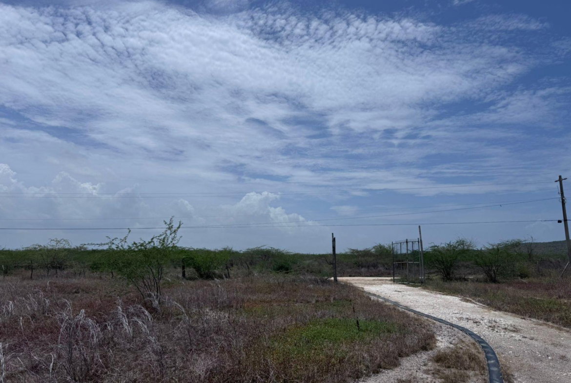 Seventh image of Lot 92 Hartlands, St. Catherine in Hartlands, St. Catherine, Jamaica - property is For Sale