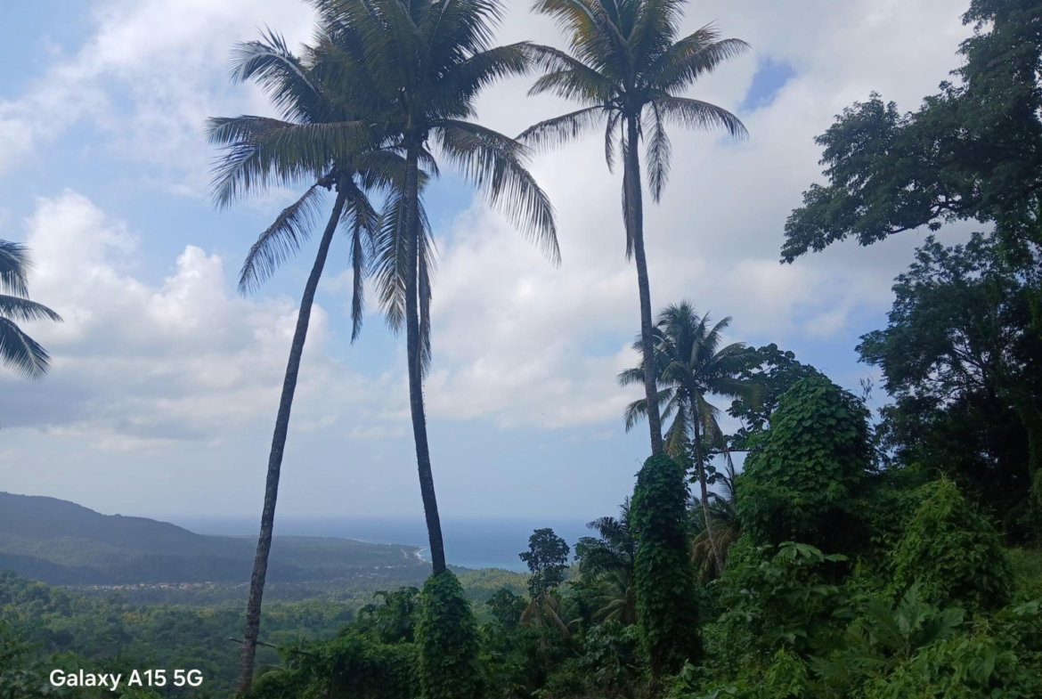 Second image of Diamond Ridge in Buff Bay, Portland, Jamaica - property is For Sale