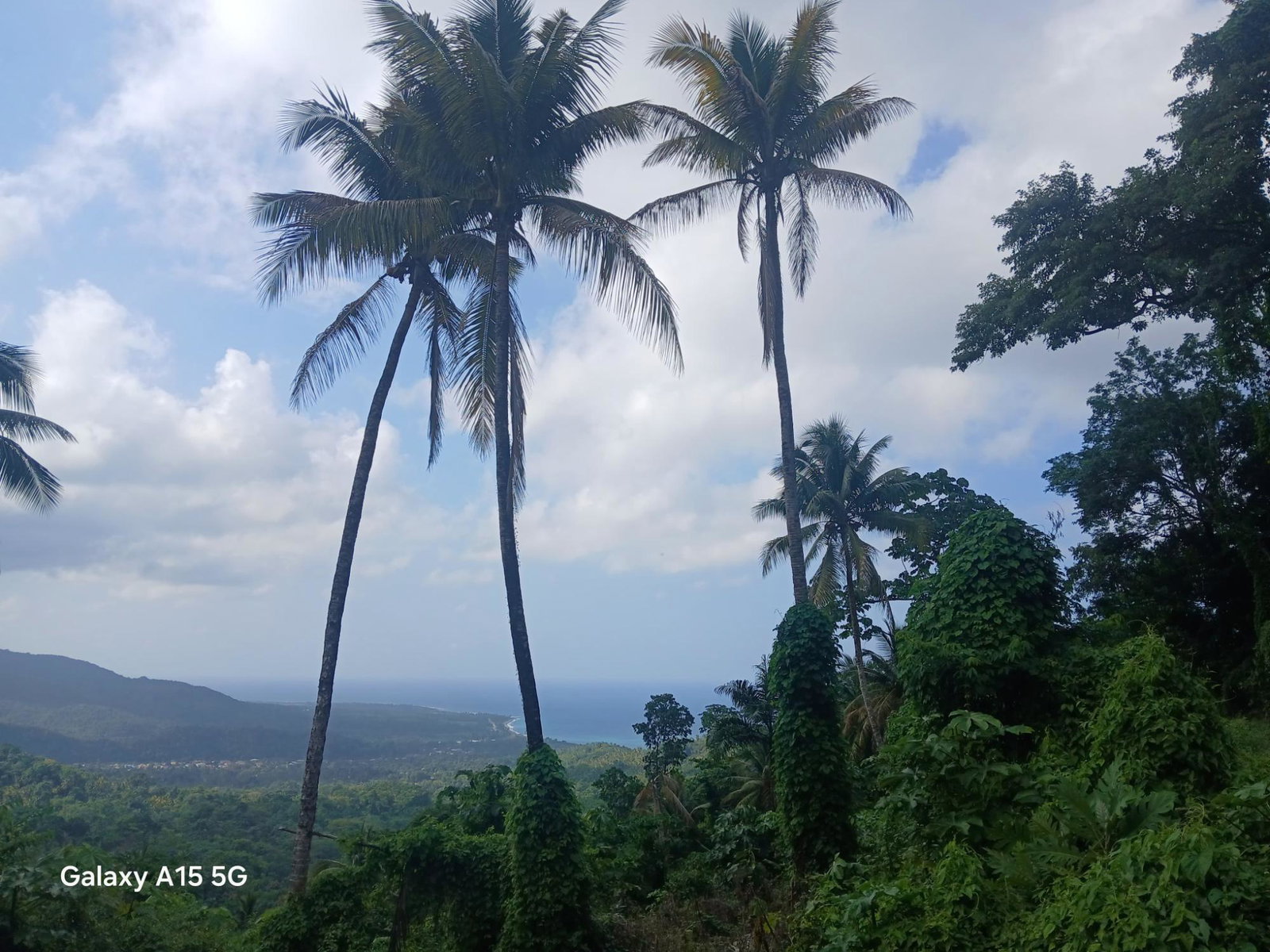 Second image of Diamond Ridge in Buff Bay, Portland, Jamaica - property is For Sale